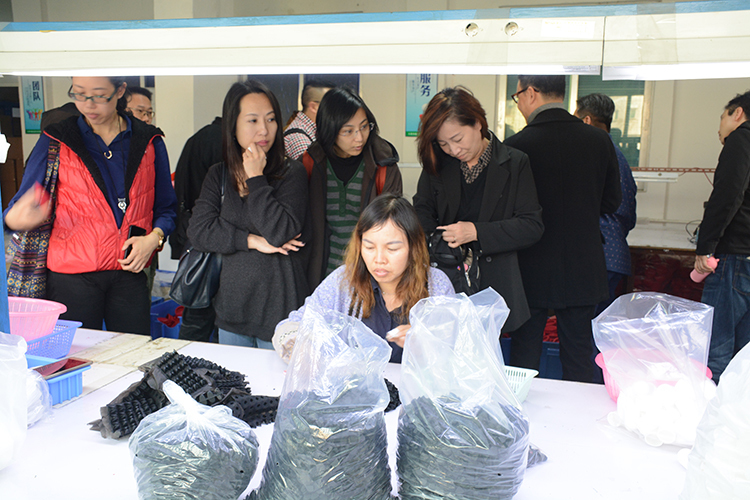 參觀偉順包裝車間 參觀偉順包裝車間